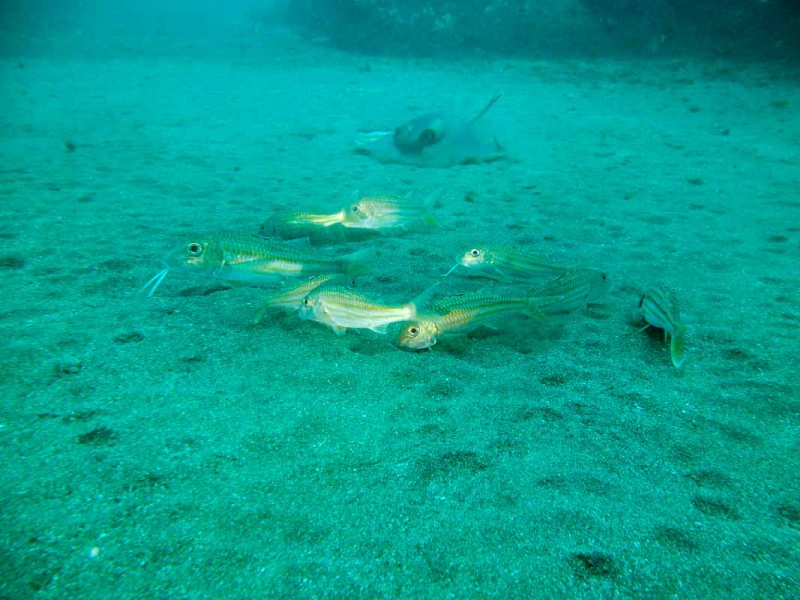 PICT1074.jpg