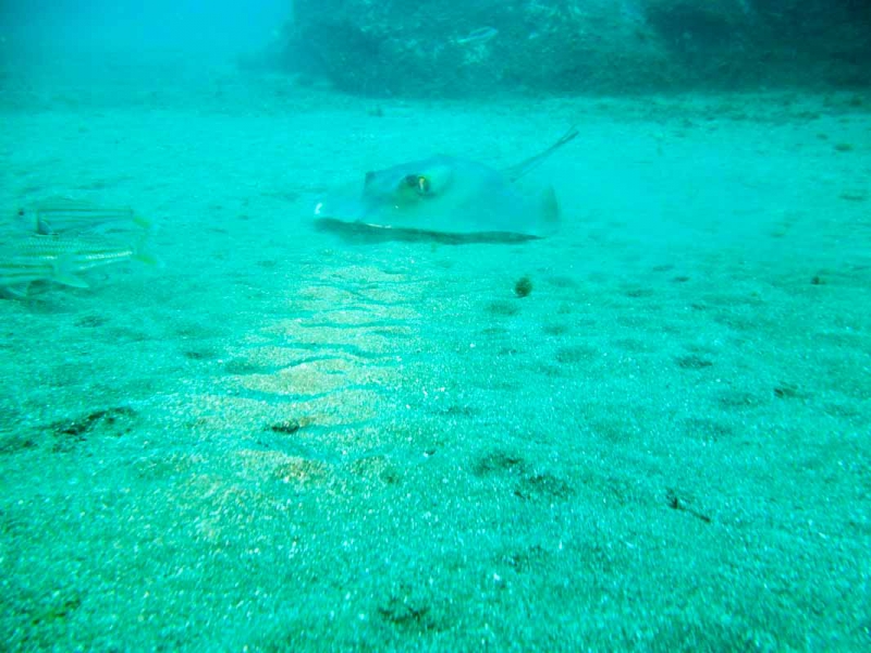 PICT1075.jpg