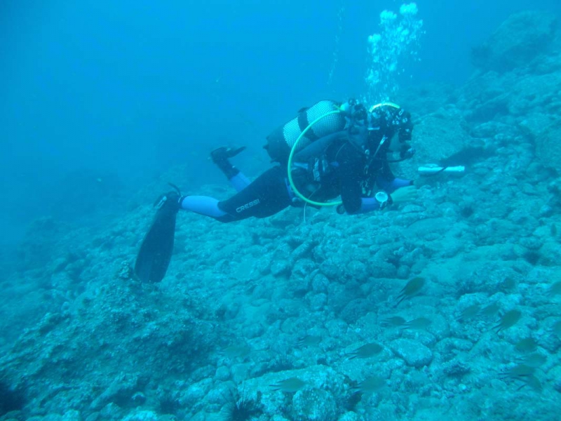 PICT1251.jpg