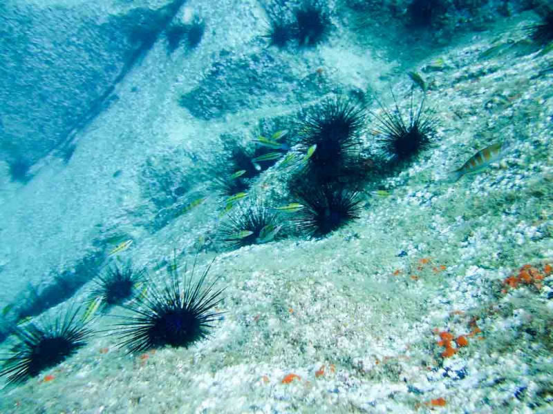 PICT1322.jpg