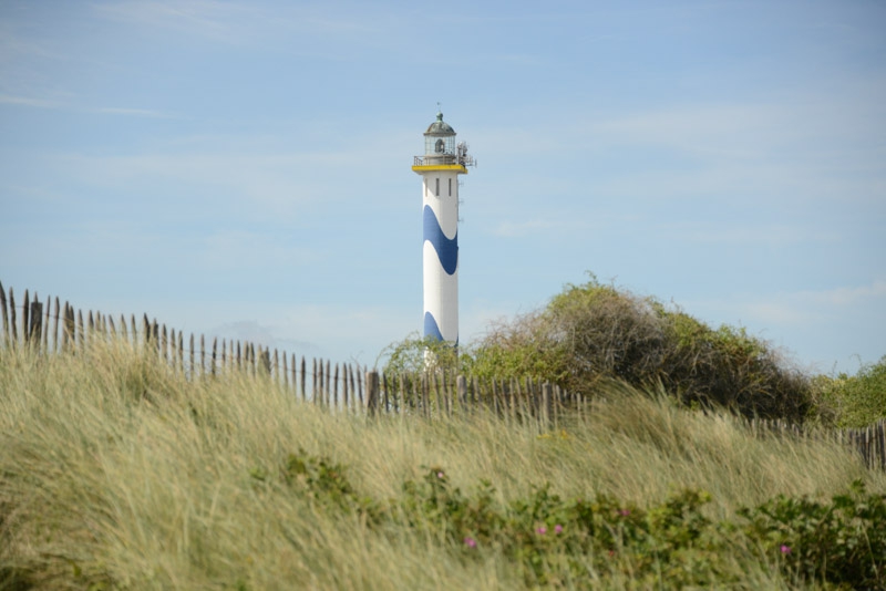 DSC_5520