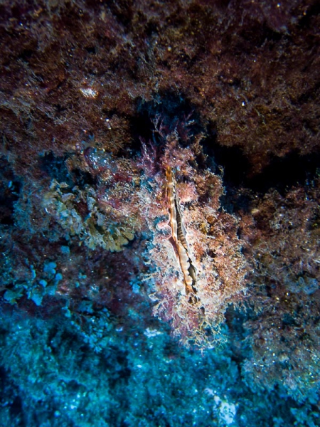M0015548