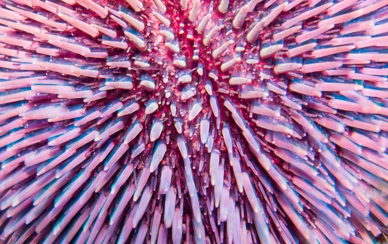 M0015695