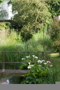 Gartengestaltung 
