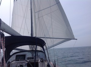 Butterfly Sailing